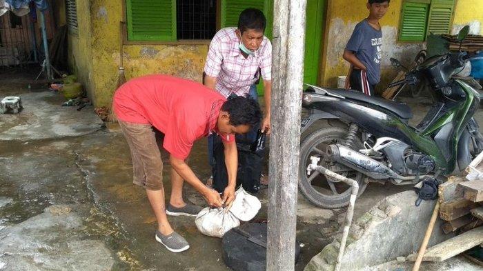 Seorang personel polisi memasukkan kepala kucing yang viral di media sosial ke dalam karung di Jalan Tangguk Bongkar 7, Kelurahan Tegal Sari Mandala, Kecamatan Medan Denai pada Kamis (28/1/2021). Di dalam karung tersebut, ditemukan lebih dari dua kepala kucing.