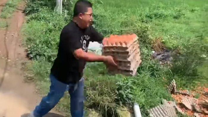 viral-peternak-membuang-ratusan-telur-di-sawah.jpg