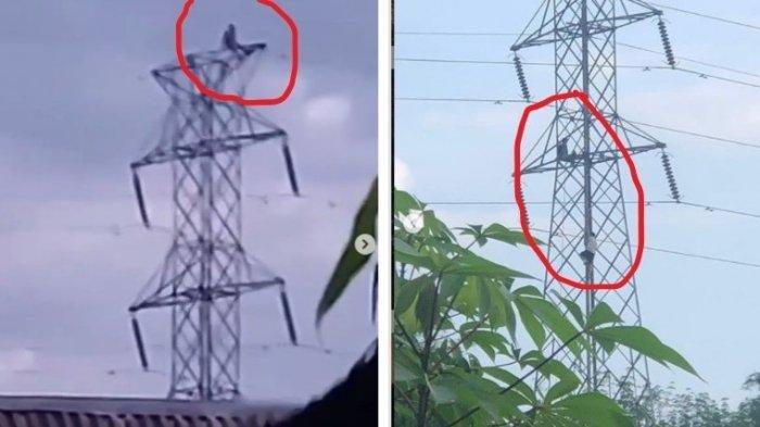 viral-remaja-nekat-naik-tower-sutet-32-meter.jpg