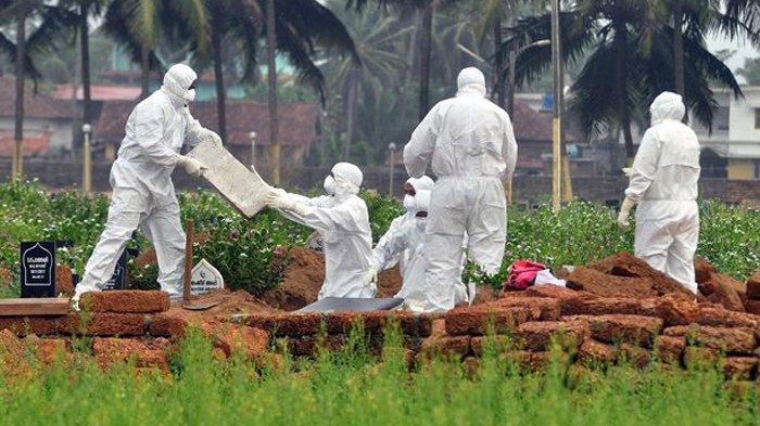 virus nipah 01