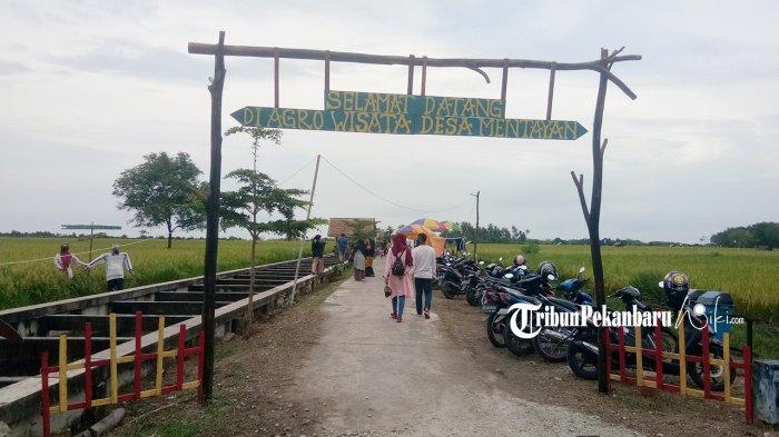 Gerbang Selamat datang di kawasan Agrowisata Desa Mentayan