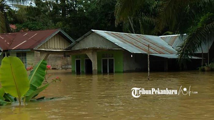 Sejumlah rumah warga Desa Lubuk Kembang Bunga Kecamatan Ukui Kabupaten Pelalawan, Riau terendam banjir akibat hujan deras yang mengguyur wilayah tersebut