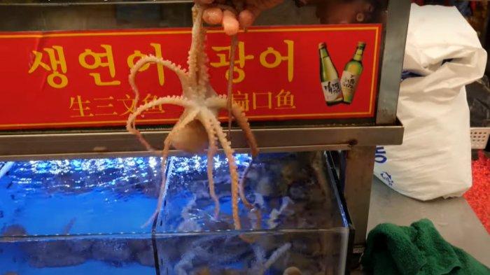 Gurita hidup untuk sajian Sannakji