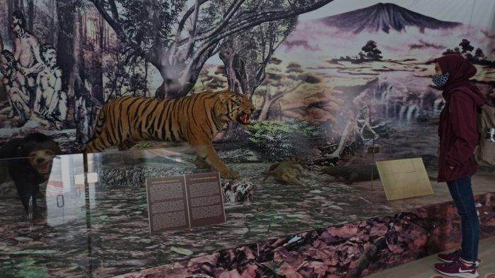 Pengunjung melihat koleksi yang ada di Museum Negeri Sumsel.