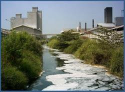 Sungai di Karawang Selatan Tercemar Limbah Pabrik