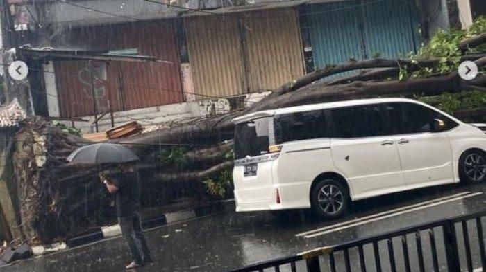 Hujan disertai angin kencang di Tanah Kusir, Kebayoran Lama, Jakarta Selatan, Minggu (11/4/2021) siang, membuat pohon besar rubuh dan menimpa kendaraan milik Eros Djarot.