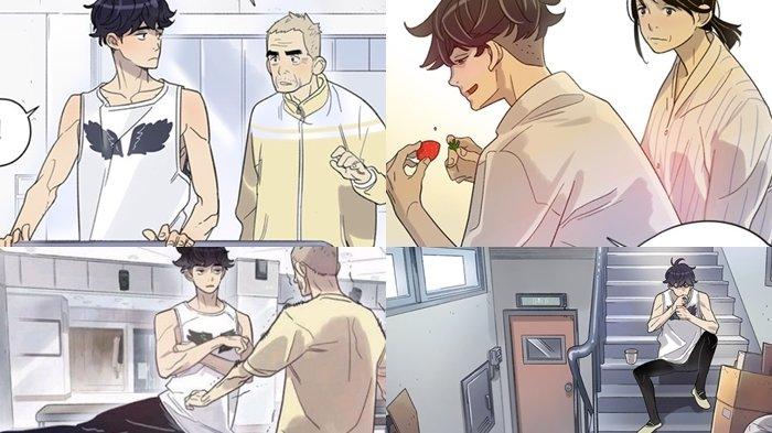 Navillera versi webtoon