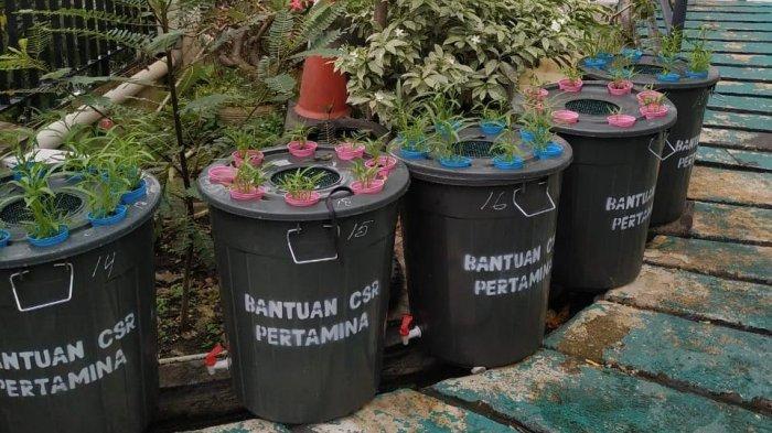 Sistem budi daya ikan dalam ember (Budikdamber) yang digagas oleh Integrated Terminal Jakarta PT Pertamina (Persero) Regional Jawa Bagian Barat di bawah Program SULE (Serba Usaha Lele) menarik minat warga Koja untuk berpartisipasi.