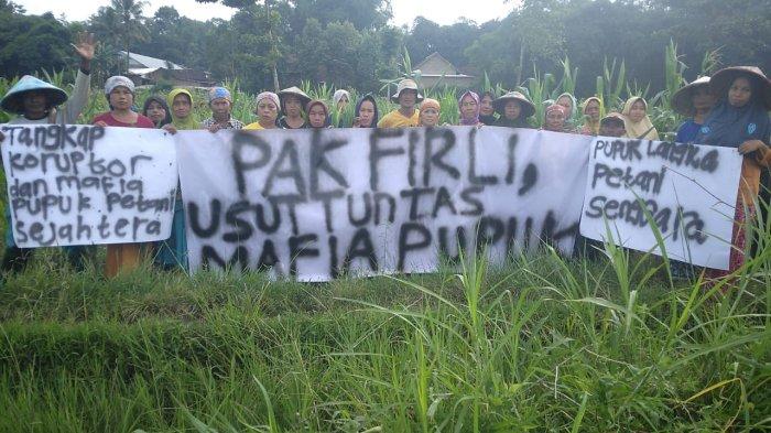 Petani di Bondowoso mengeluhkan kelangkaan pupuk