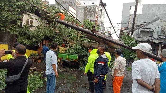 Pohon tumbang menimpa mobil losbak dan bangunan rumah di Jalan Perniagaan Barat, Tambora, Jakarta Barat Rabu (2/3/2022) siang.