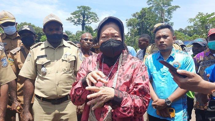 Menteri Sosial RI Tri Rismaharini mengunjungi Sarmi, Papua, Selasa (22/3/2022). Risma kaget saat melihat pohon Lea tumbuh subur secara liar di daerah itu.