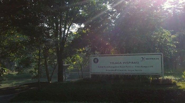 Taman Keanekaragaman Hayati (Kehati) Telaga Inspirasi IPB-Nutricia yang berlokasi di kampus IPB Darmaga, Bogor, kolaborasi IPB University bersama Danone Indonesia.