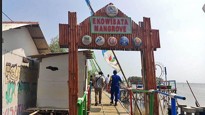 Ekowisata Mangrove Pantai Mekar Muara Gembong akan menjadi salah satu destinasi wisata andalan Kabupaten Bekasi.