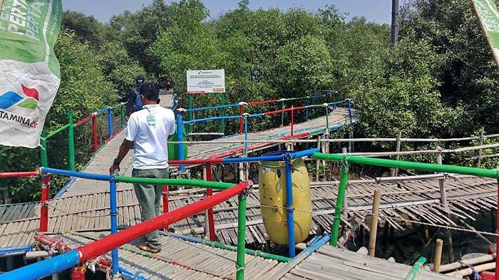 Jembatan bambu bantuan dari Pertamina ini memudahkan pengunjung menjelajahi hutan mangrove.