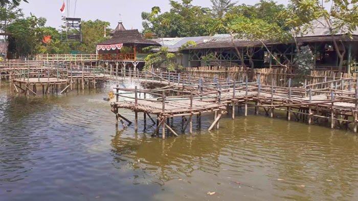 Peternakan ikan di Taman Limo Jatiwangi, yang hasilnya bisa disantap di restoran setempat.