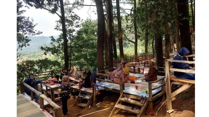 Makan-makan di bawah keteduhan pohon pinus, sambil memandang alam yang indah, membuat Gunung Pancar kebanjiran pengunjung.