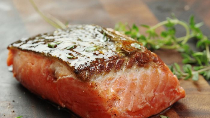 Ikan Salmon